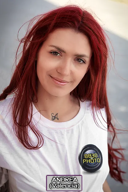 Modelo 1
